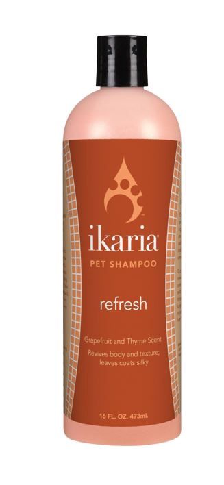 IK REFRESH SHAMPOO