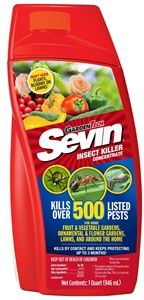 16 OZ INSECT KILLER CONSENTRATE