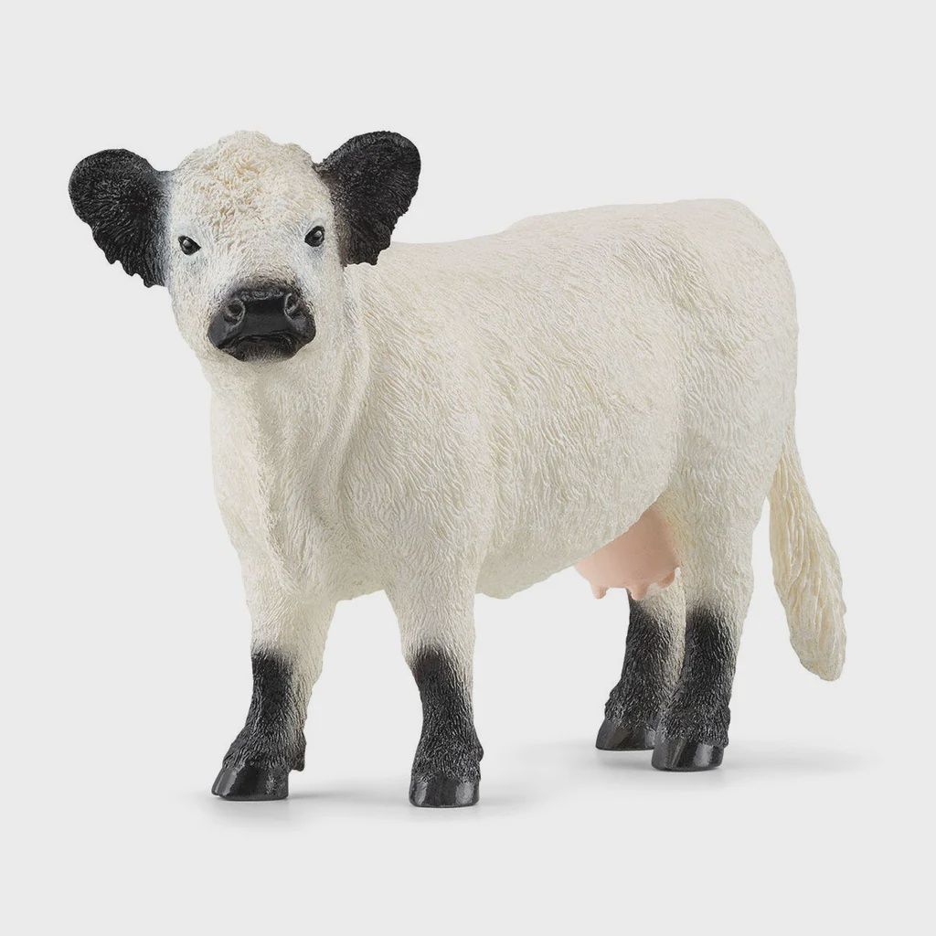 SCHLEICH GALLOWAY COW