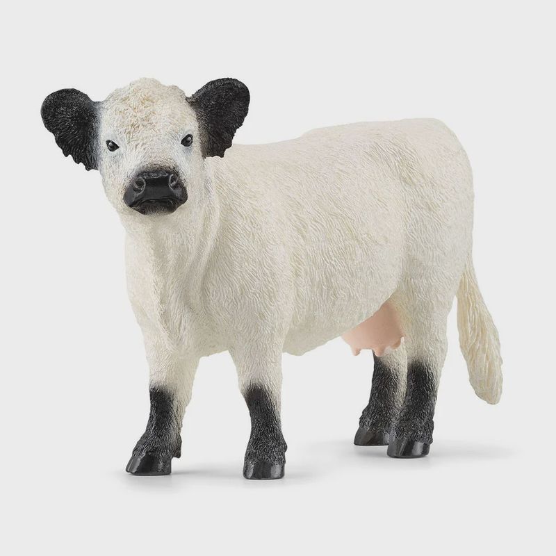 SCHLEICH GALLOWAY COW