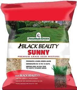 SUNNY BLACK BEAUTY GRASS SEED