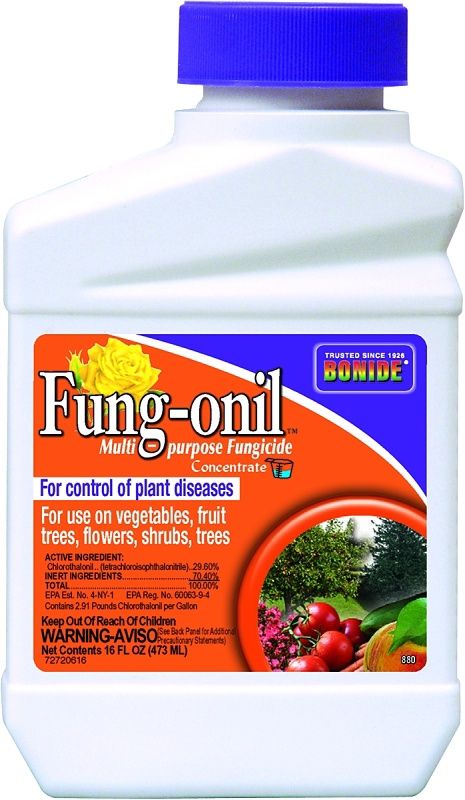 LIQUID FUNGICIDE CONCENTRATE 1 PT
