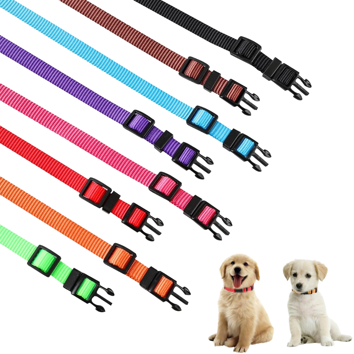 PUPPY COLLAR NYLON ( 8 pk )