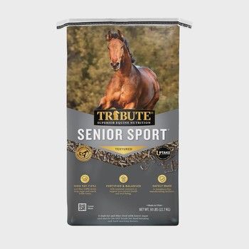 SENIOR SPORT - TEXTURED