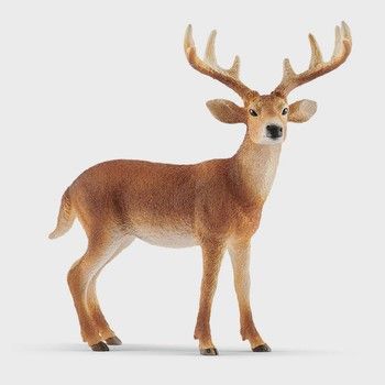 Schleich White-tailed Buck