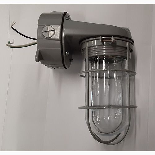BWF Deck Lights VXWG-11-G Wall Mount Fixture, glass Globe, Wire Guard BWF Deck Lights VXWG-11-G Wall Mount Fixture, glass Globe, Wire Guard