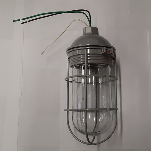 BWF Deck Lights (100W Fixture Globe, Wire Guard)