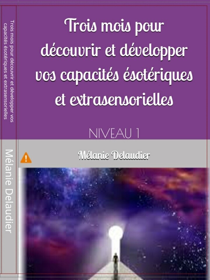 Livre &quot;Trois mois pour découvrir et développer vos capacités ésotériques et extrasensorielles&quot; *NIVEAU 1* (dédicacé) ENVOI OFFERT