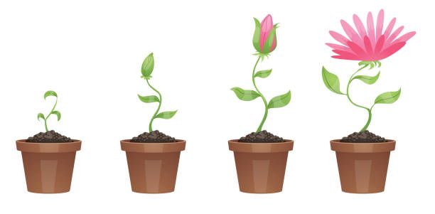Coaching  &quot;Visibilité et mise en lumière&quot;