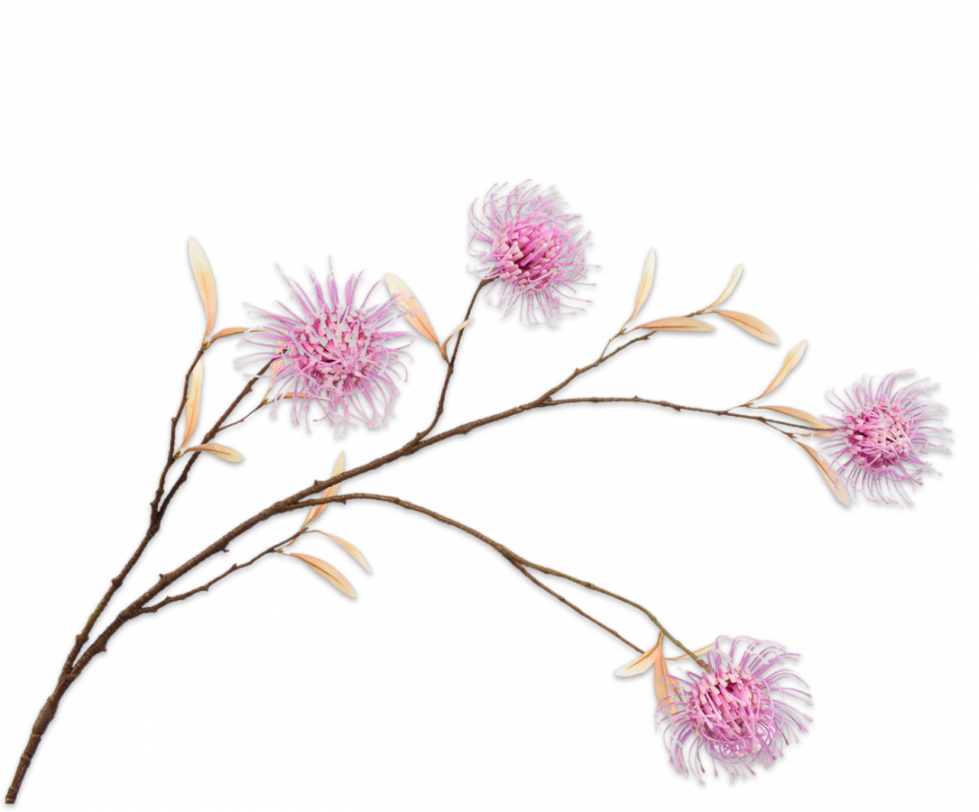 Protea Tak lavendel 111cm