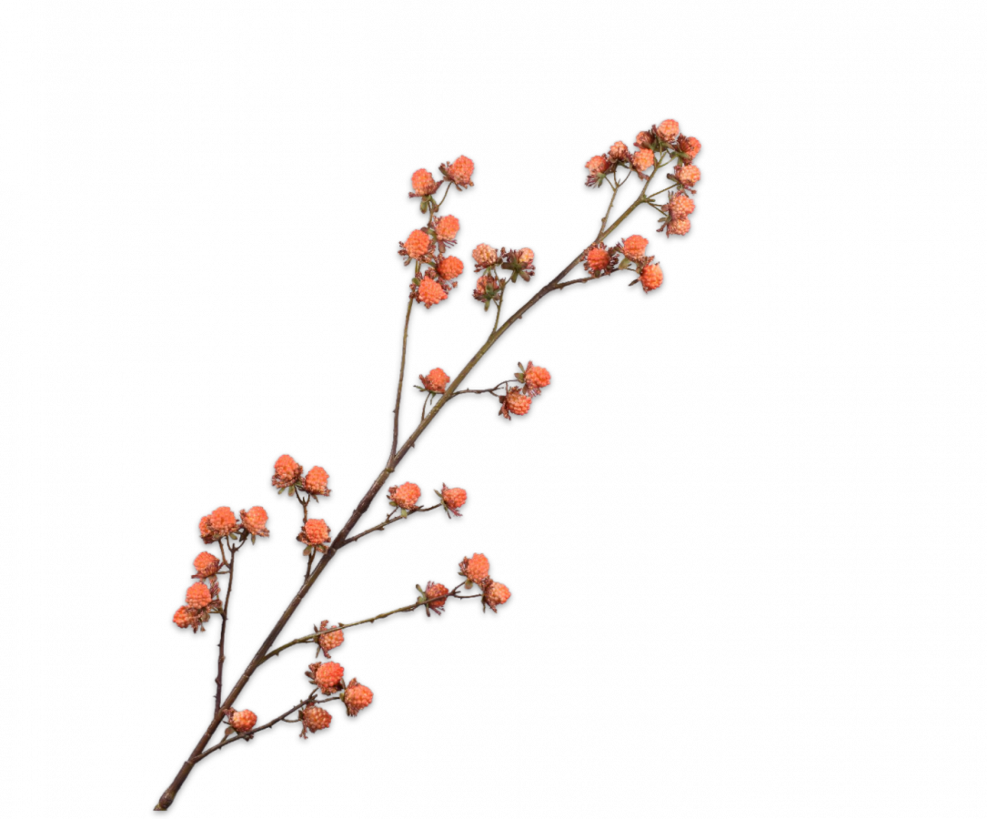 Bramen Tak oranje 113cm