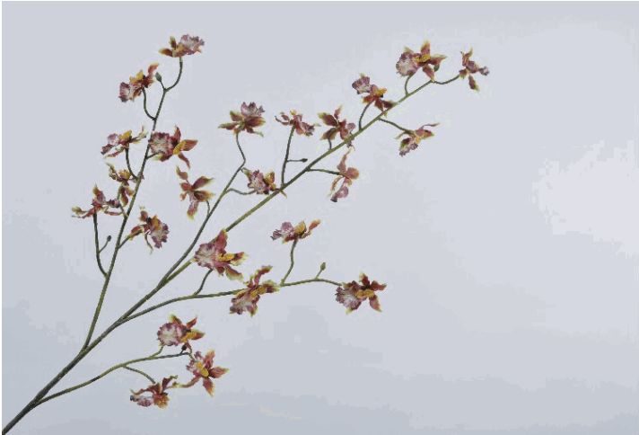 Orchidee Tak paars/groen 100cm