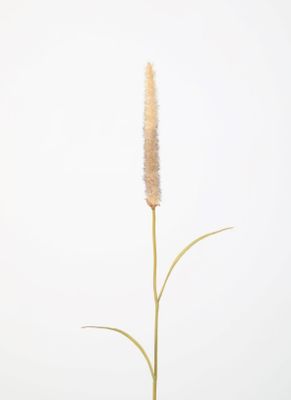 Pennisetum 67cm