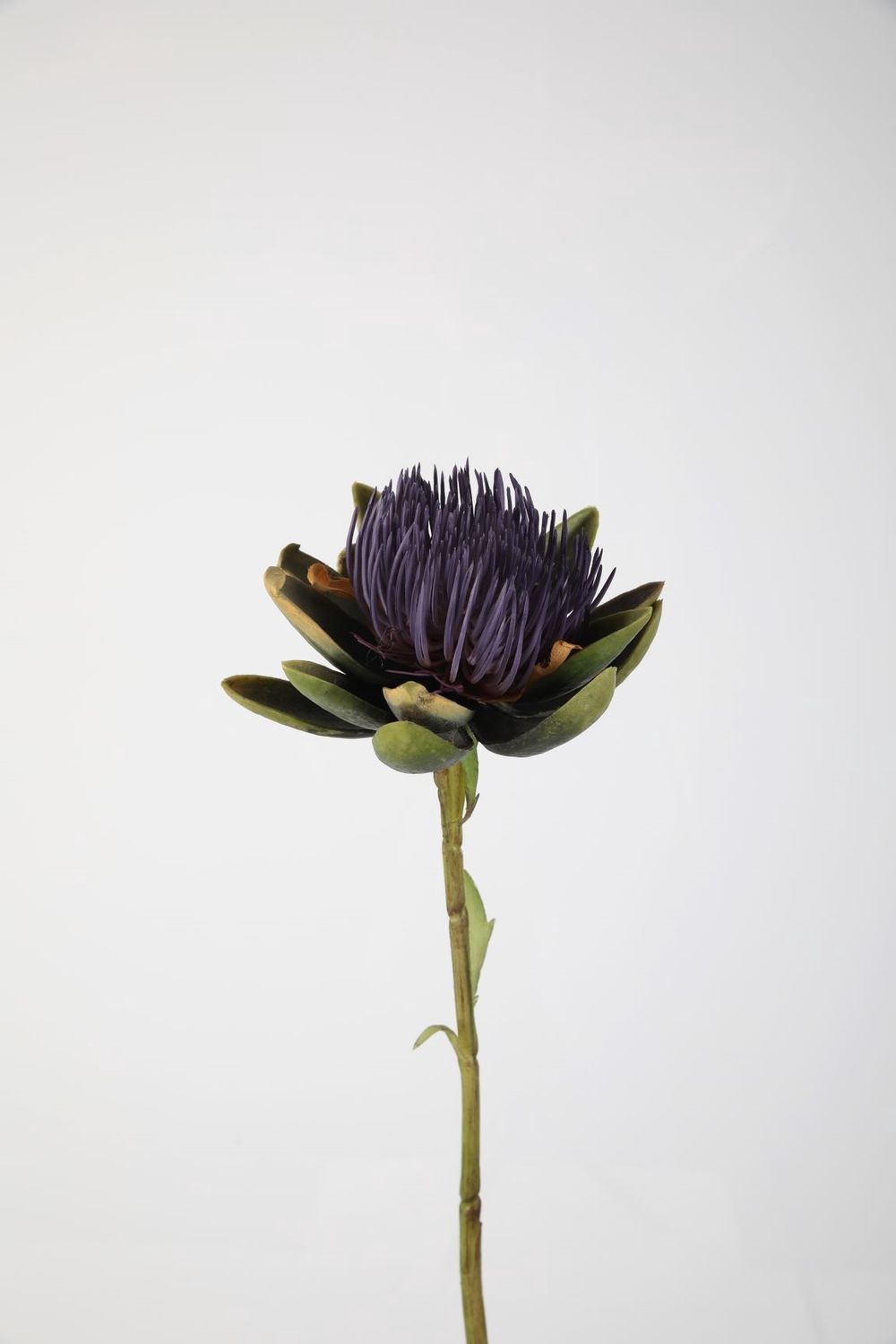 Artichoke 79cm