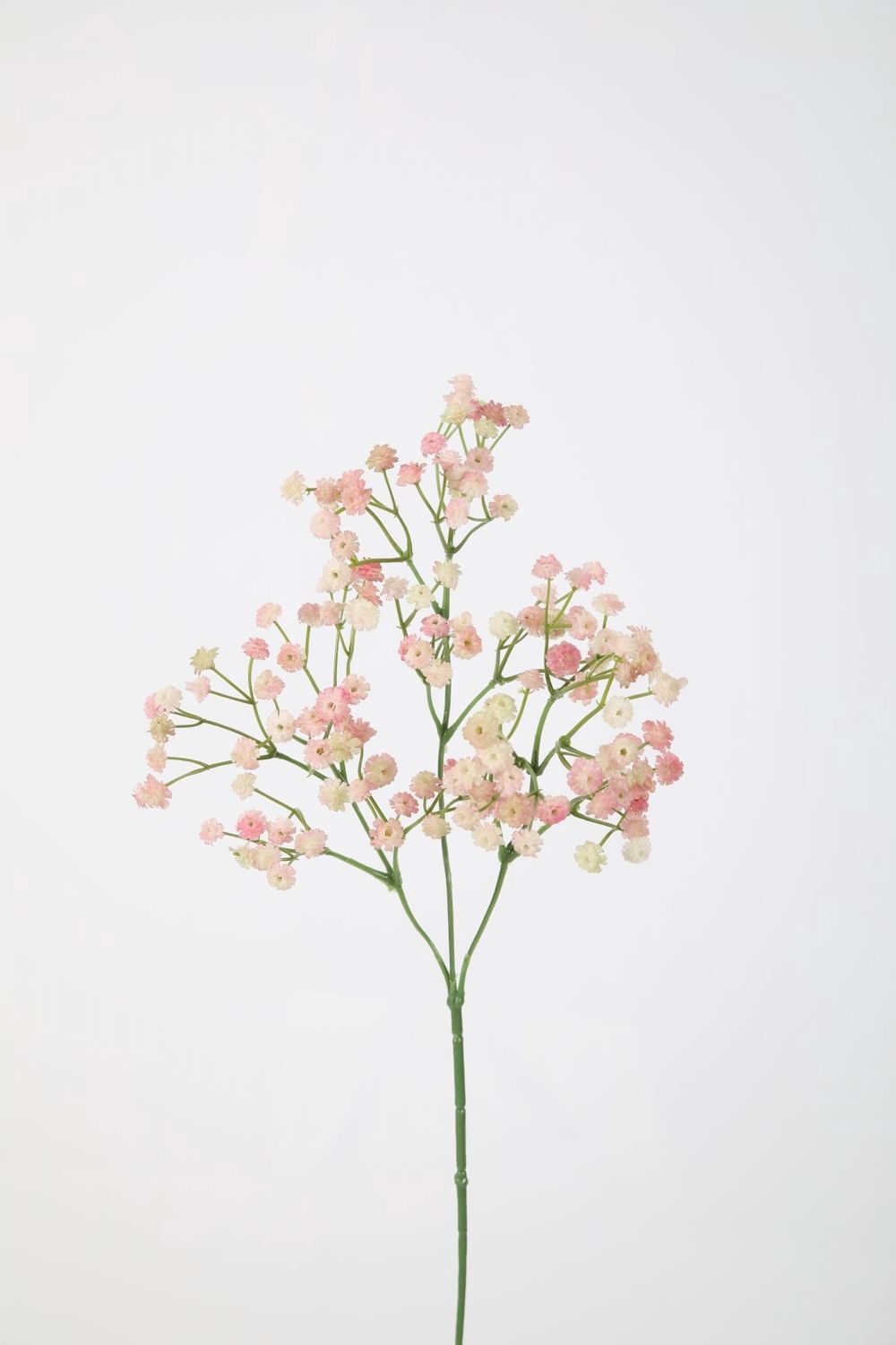 Gypsophilia 66cm