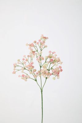Gypsophilia 66cm