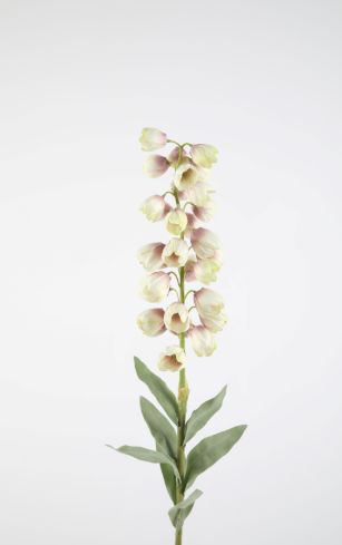 Fritillaria Stem 96cm