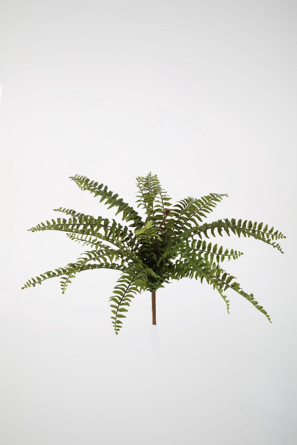 Fern Bush 58cm