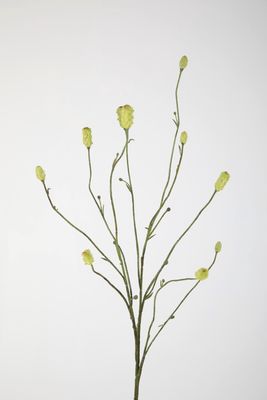 Burnet Spray x10 86cm Burnet Spray x10 86cm