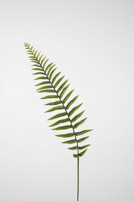 Giant Fern Spray 138cm