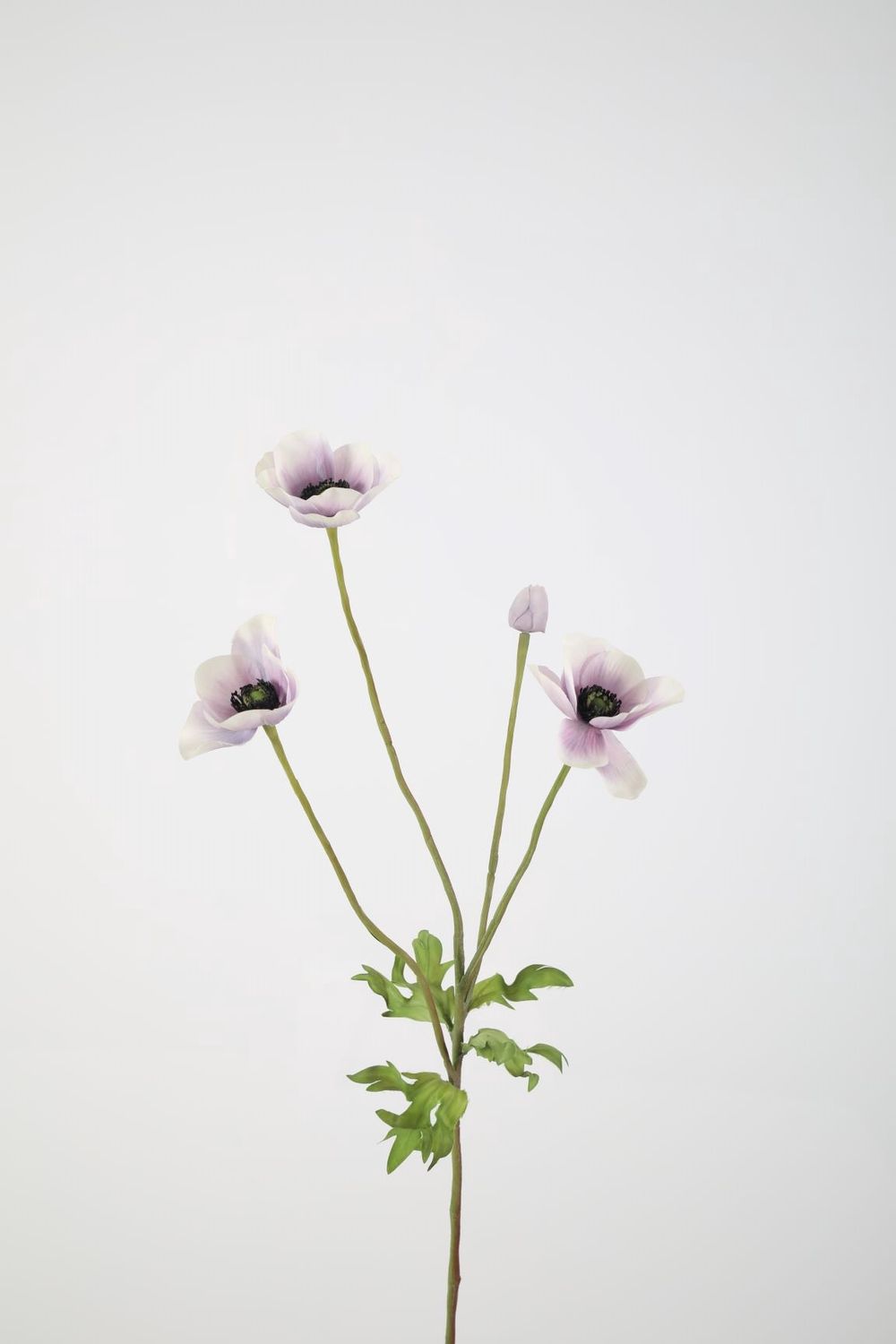 Anemone Spray 74cm lavendel
