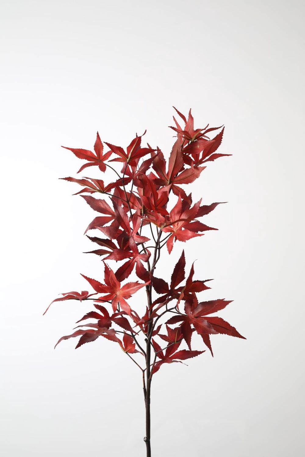 Acer Leaf Spray 97cm