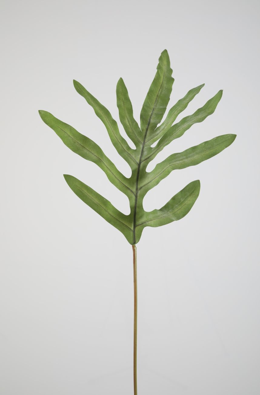 Phlebodium Leaf Kunsttak Groen 77 cm