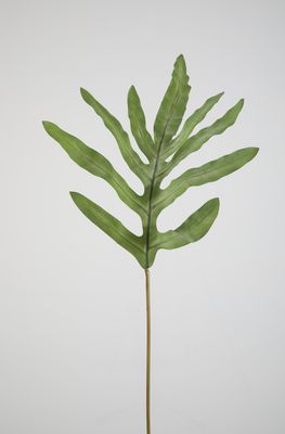 Phlebodium Leaf Kunsttak Groen 77 cm