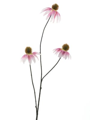 Echinacea spray pink 82cm
