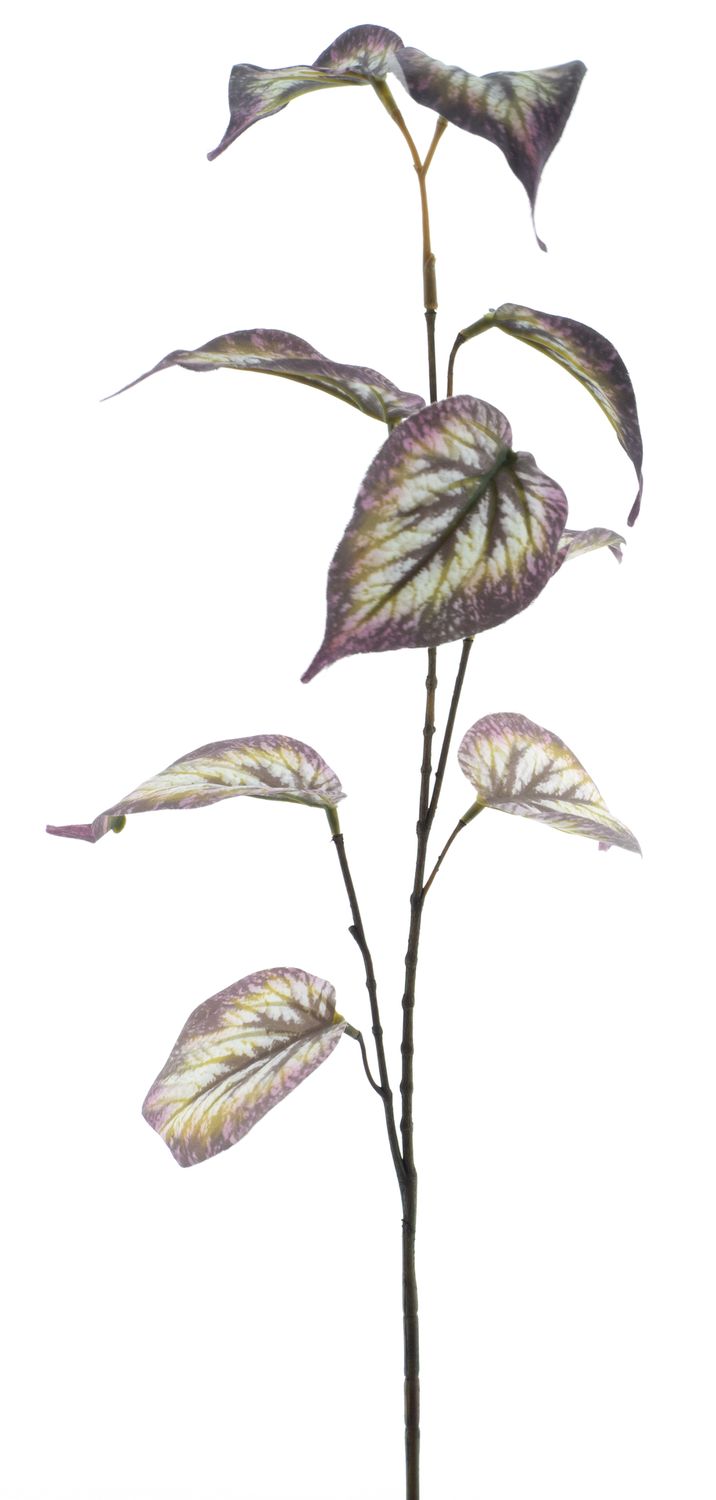 Coleus Leaf Spray paars 75cm