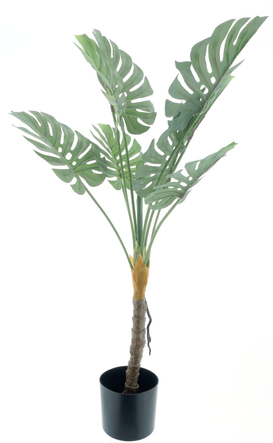 Monstera plant in pot green 90cm