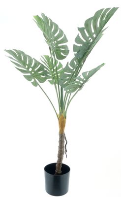 Monstera plant in pot green 90cm
