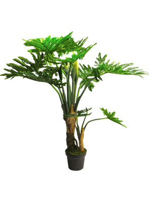 Philondendron Wasimbu groen H155