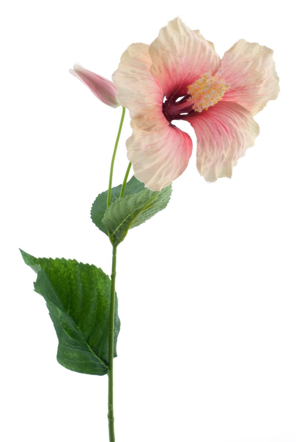Hibiscus spray cream/pink 73cm