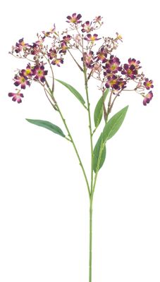 Daphne Spray Elena Purple/Red 72 cm