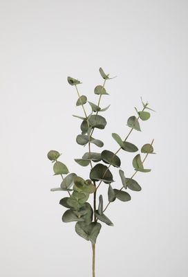 Eucalyptus Spray 87cm