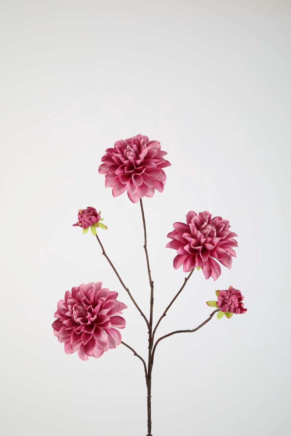 Dahlia Spray x5 90cm