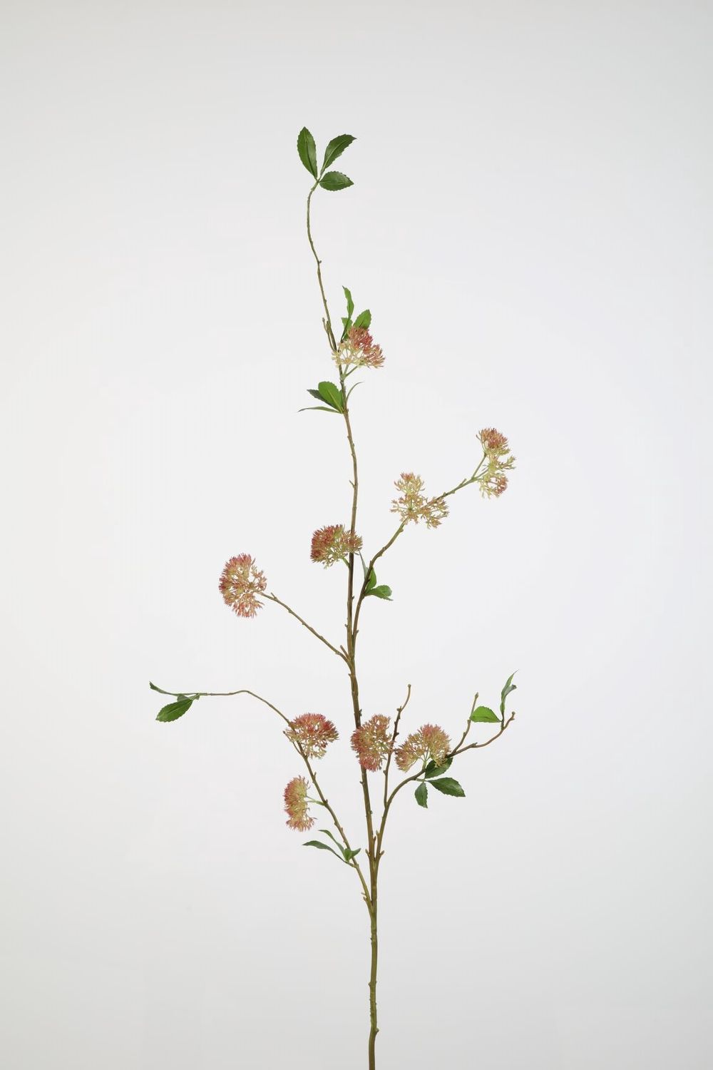 Flowering Sedum Spray 143cm