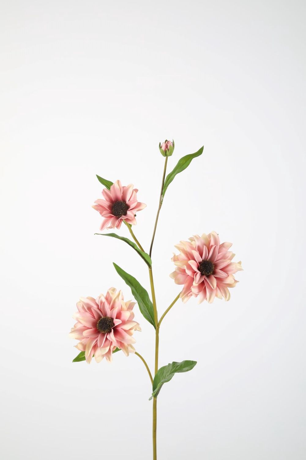 Black Eyed Susan 82cm