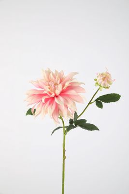 Dahlia Spray 74cm roze/fucsia
