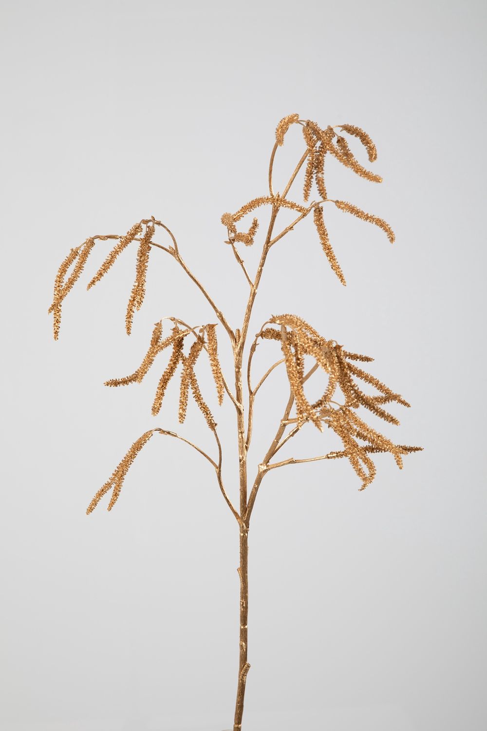 Amaranthus Gold 81cm