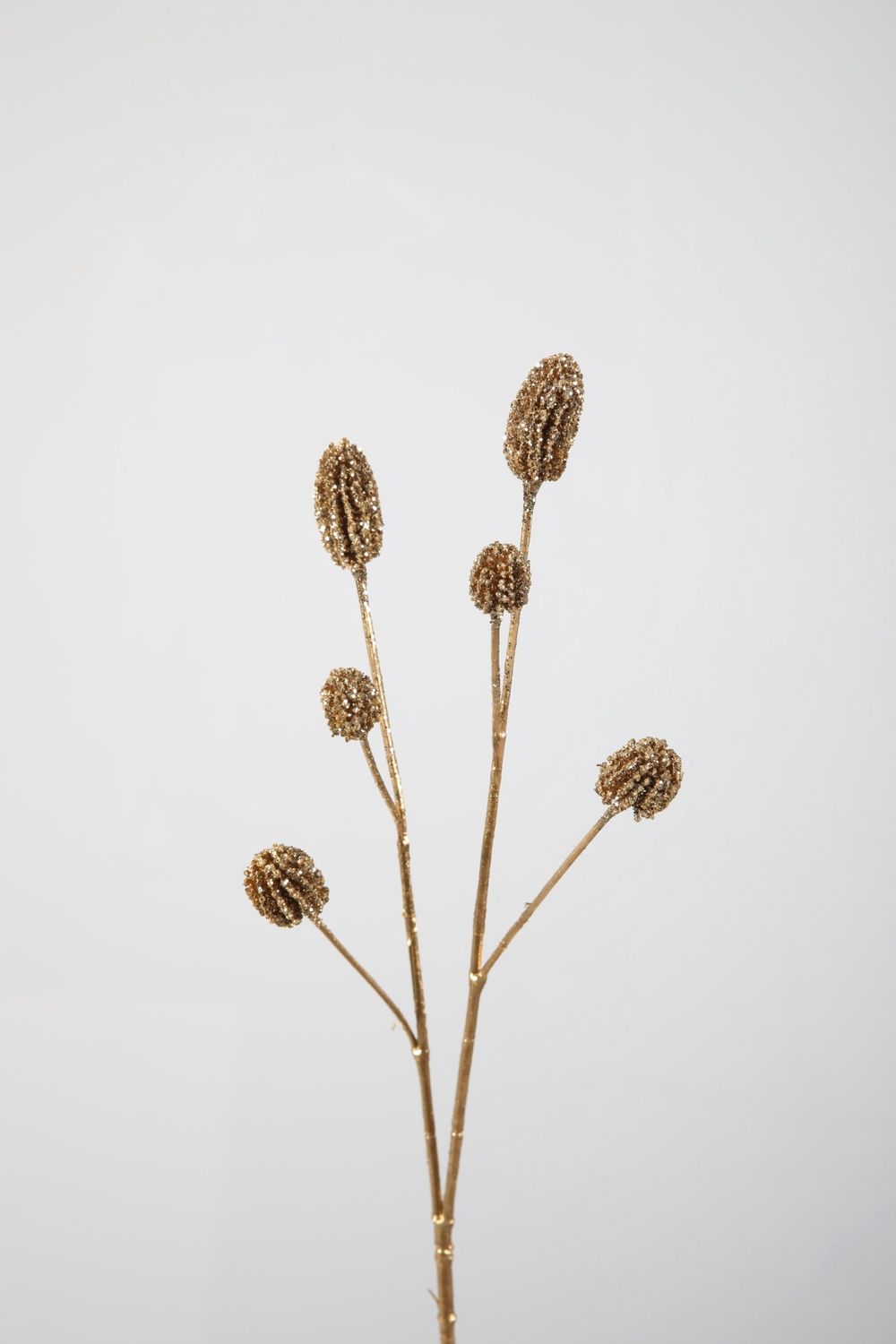 Gomphrena Spray 55cm