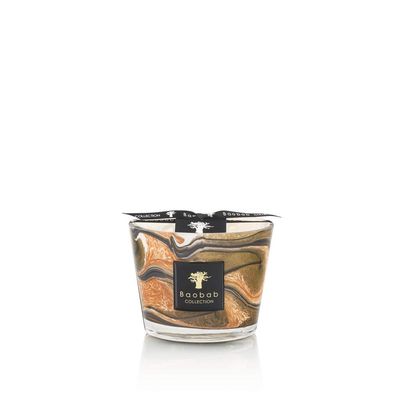 Max 10 Delta Okavango