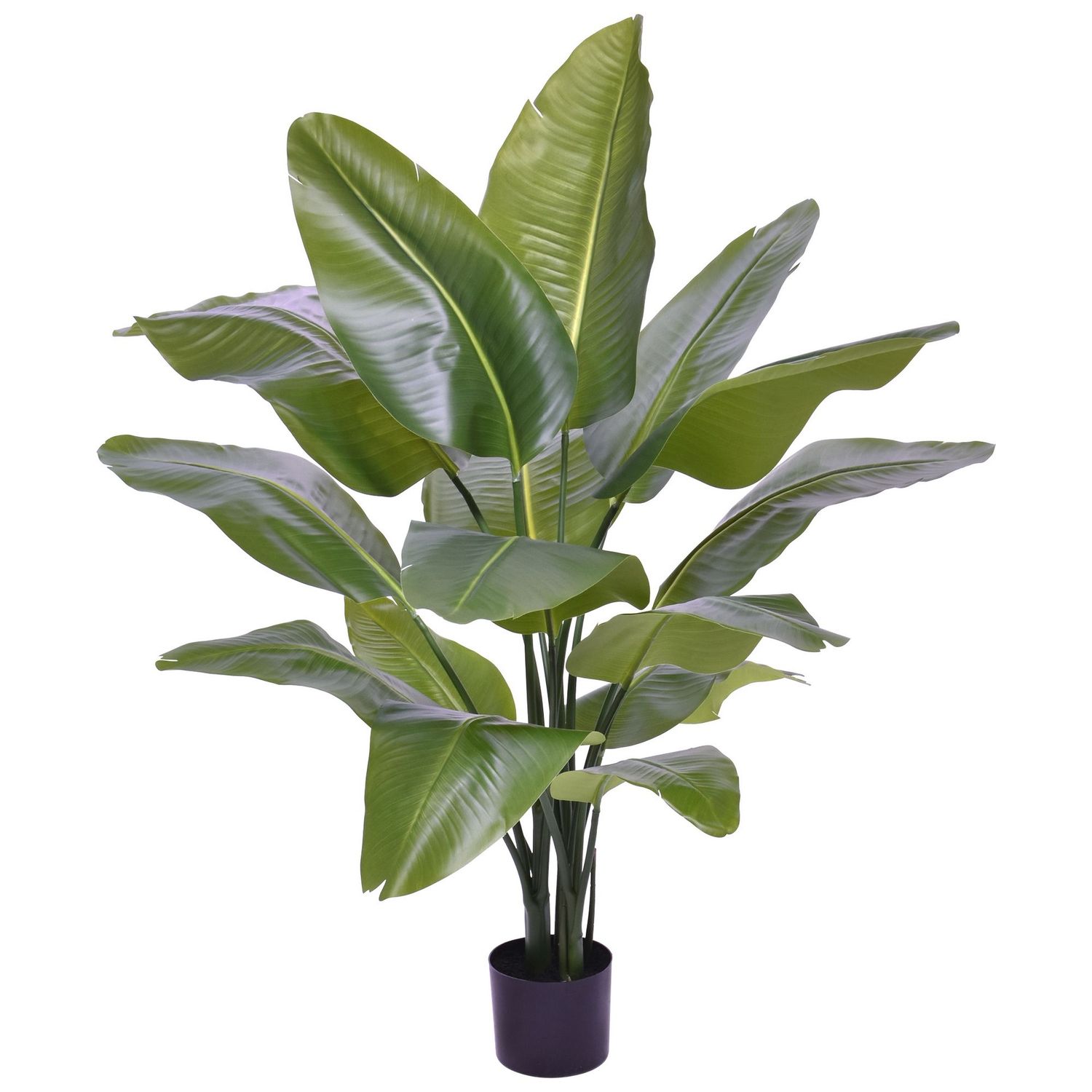 Strelitzia Nicolai XL Kunstpalm 125cm