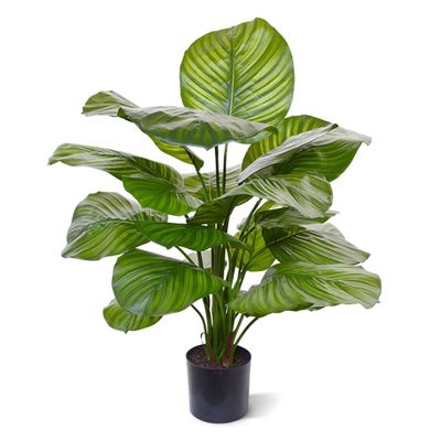 Calathea Fasciata kunstplant 70cm
