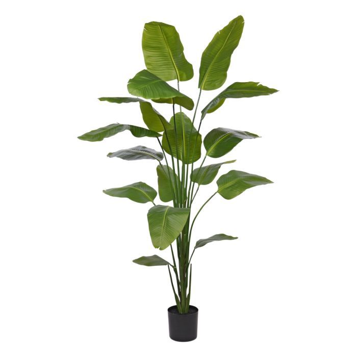 Strelitzia Nicolai Kunstplant H 210