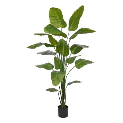 Strelitzia Nicolai Kunstplant H 210
