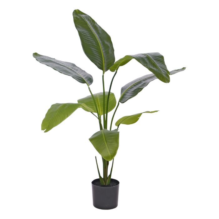 Strelitzia Nicolai Kunstplant H120
