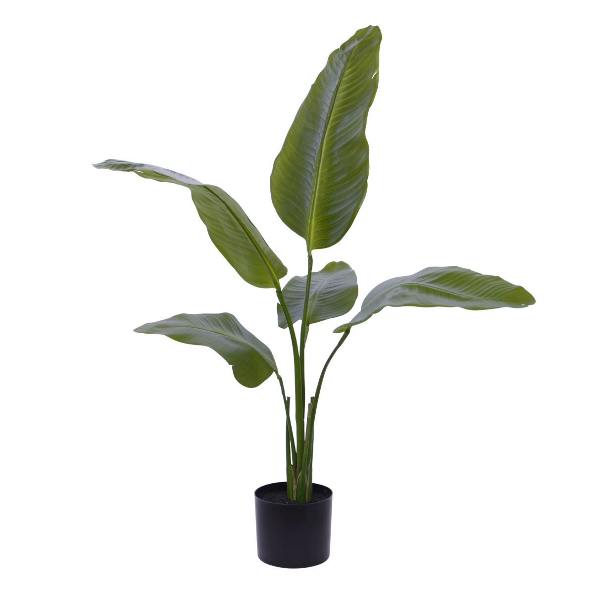 Strelitzia Nicolai Kunstplant H90