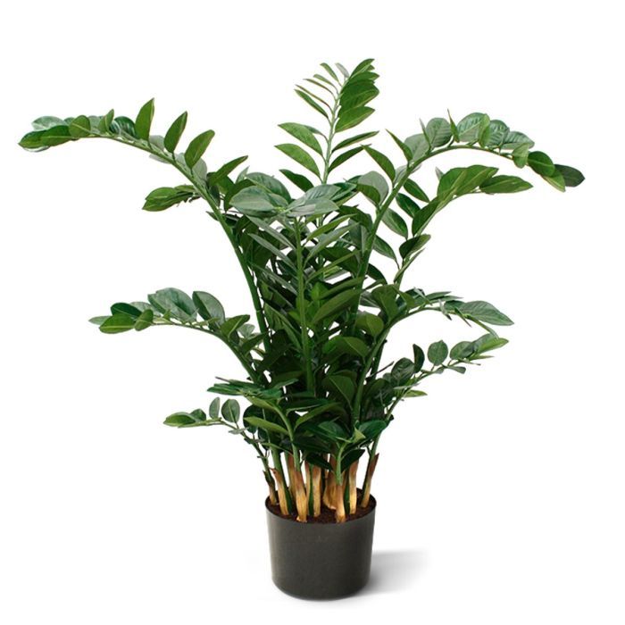 Zamioculcas XL kunstplant  120cm